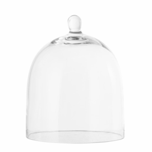 Cloche en verre – Transparent