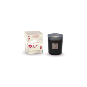 Bougie parfumée initiale rechargeable 180g – Esprit de thé