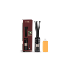 Bouquet parfumé rechargeable 100ml - Teck & tonka